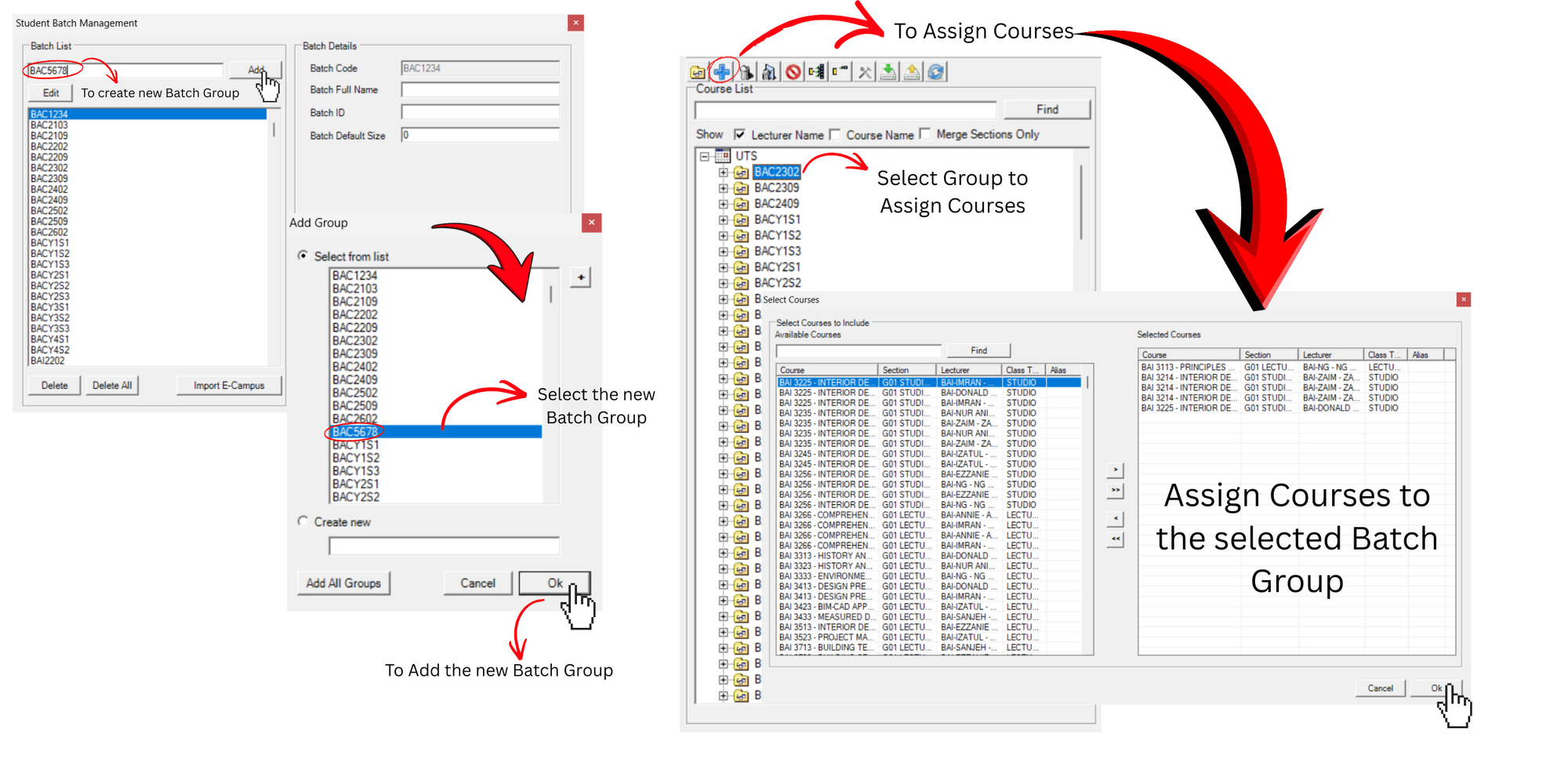 Timetable Plus Class, Batch Group: assigning process