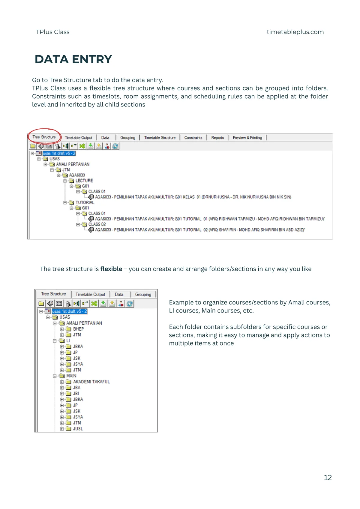 Timetable Plus Class Main Features, page 12: Data entry