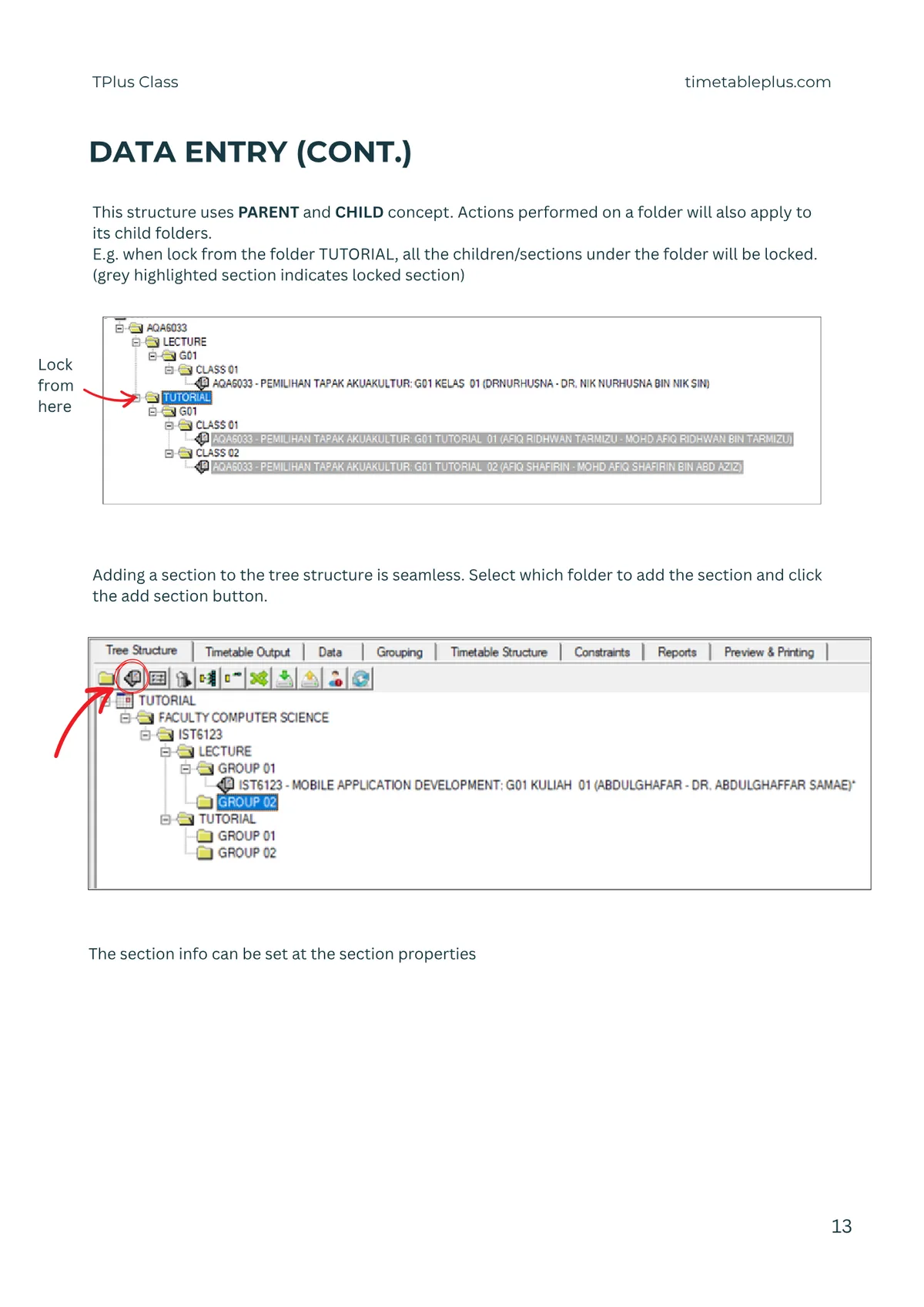 Timetable Plus Class Main Features, page 13: Data entry