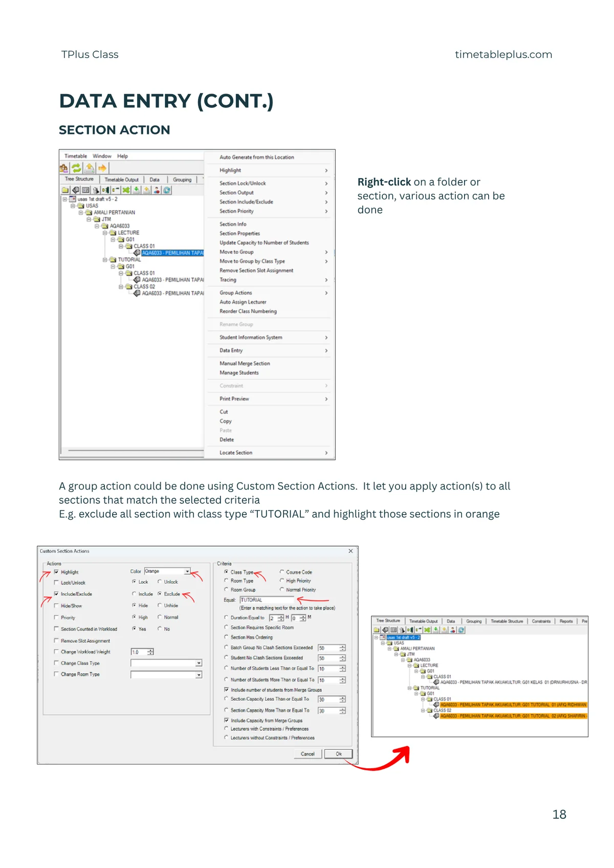 Timetable Plus Class Main Features, page 18: Data entry